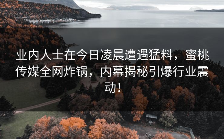 业内人士在今日凌晨遭遇猛料,蜜桃传媒全网炸锅,内幕揭秘引爆行业震动! 业内人士在今日凌晨遭遇猛料,蜜桃传媒全网炸锅,内幕揭秘引爆行业震动!