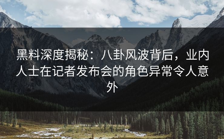 黑料深度揭秘：八卦风波背后，业内人士在记者发布会的角色异常令人意外