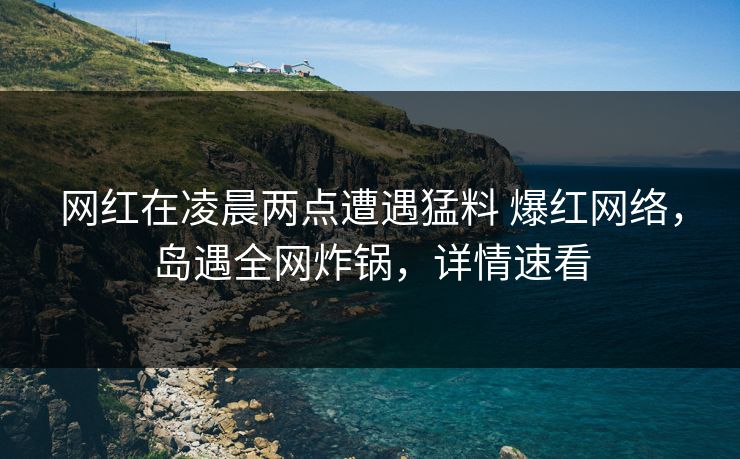 网红在凌晨两点遭遇猛料 爆红网络，岛遇全网炸锅，详情速看
