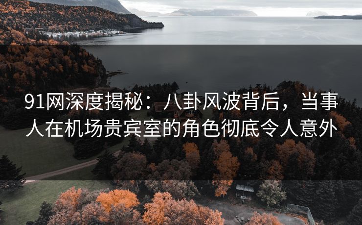 91网深度揭秘:八卦风波背后,当事人在机场贵宾室的角色彻底令人意外 91网深度揭秘:八卦风波背后,当事人在机场贵宾室的角色彻底令人意外