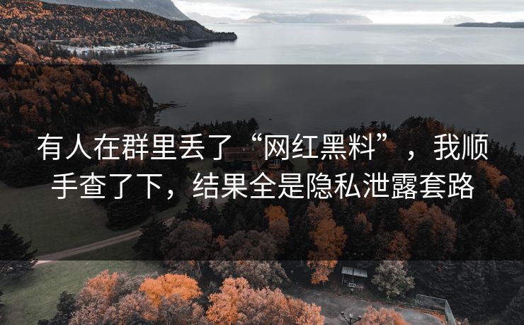 有人在群里丢了“网红黑料”，我顺手查了下，结果全是隐私泄露套路